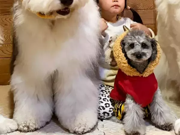 『節分の記念写真』を撮った3歳児と犬　よく見ると？「マジだった」「この表情よ」