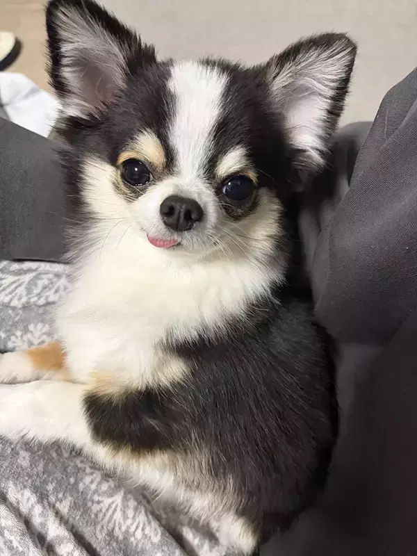 仕事で詰められた女性　元気が湧いた理由に「壁に貼りたい」「救いだ」