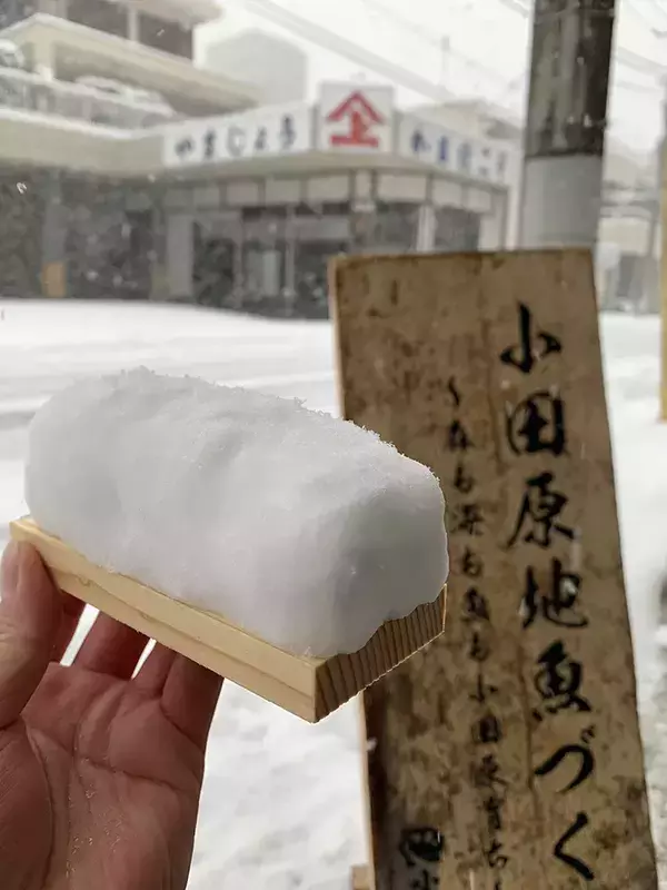 カマボコ店が雪で作ったのは…？　できたものに「おいしそうに見える」「かわいい」
