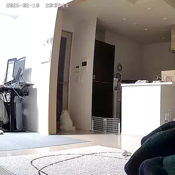 いつもより帰りが遅くなってしまった！→ペットカメラで様子を見たら…「早く帰ってあげてー！」