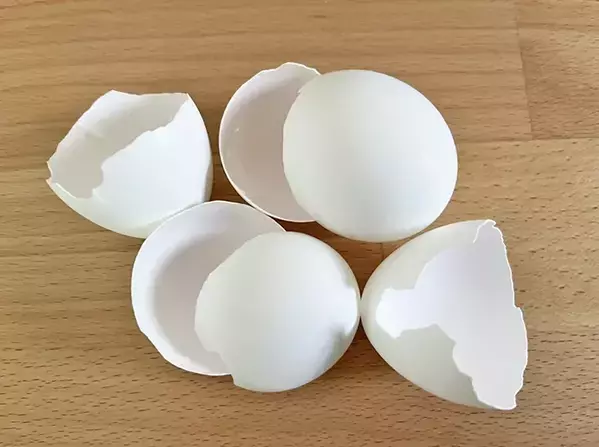 水筒の茶渋、卵の殻で落ちる？　実際に試した結果がこちら