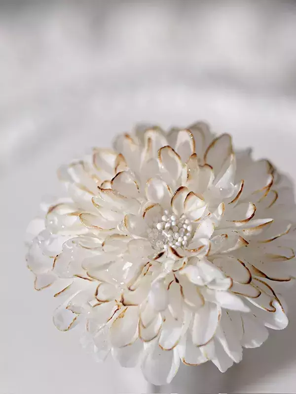 美しい『白い花』、よく見ると？　真相に「信じられない」「まさに世界に1つだけの花」