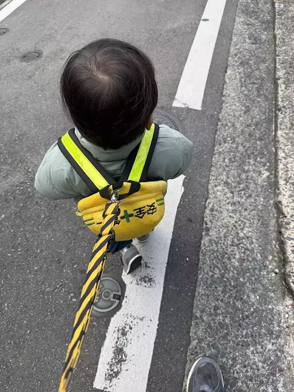 「可哀想って何回言われたと思う？」　子供用ハーネスを使う親の投稿に「嬉しい」「命が何より大事」
