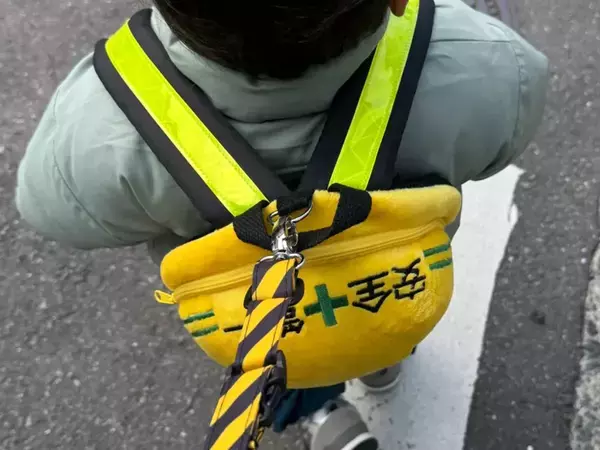 「可哀想って何回言われたと思う？」　子供用ハーネスを使う親の投稿に「嬉しい」「命が何より大事」