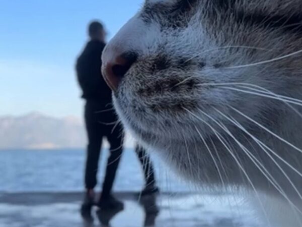 絶景で動画を撮りたかったのに…　カップルがカメラを確認すると？「大笑いした」「最高傑作」