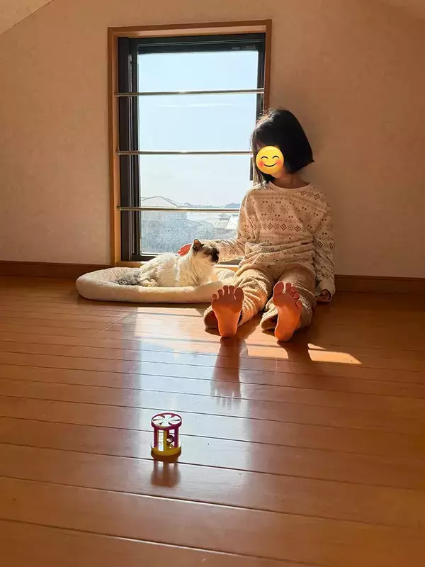 20歳の猫と8歳の女の子　屋根裏部屋の『女子会』に「素敵な光景」「最高のふたり」