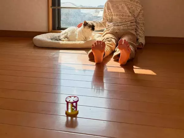 20歳の猫と8歳の女の子　屋根裏部屋の『女子会』に「素敵な光景」「最高のふたり」
