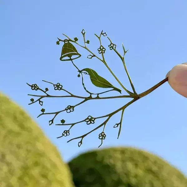 ウグイスが告げる『春の訪れ』　１枚の葉っぱで表現すると？「一体どうやって」「感動した」