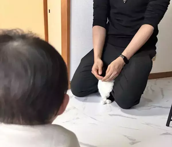 赤ちゃんと初対面の猫　3コマのオチに「そっちかーい！」「かわいいが渋滞」