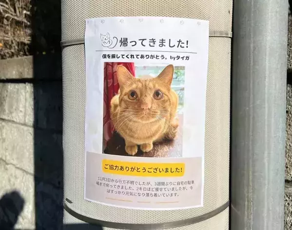 「探し猫」かと思いきや…　貼り紙の『大きな文字』に「こんなの泣いちゃう」「心が温まった」