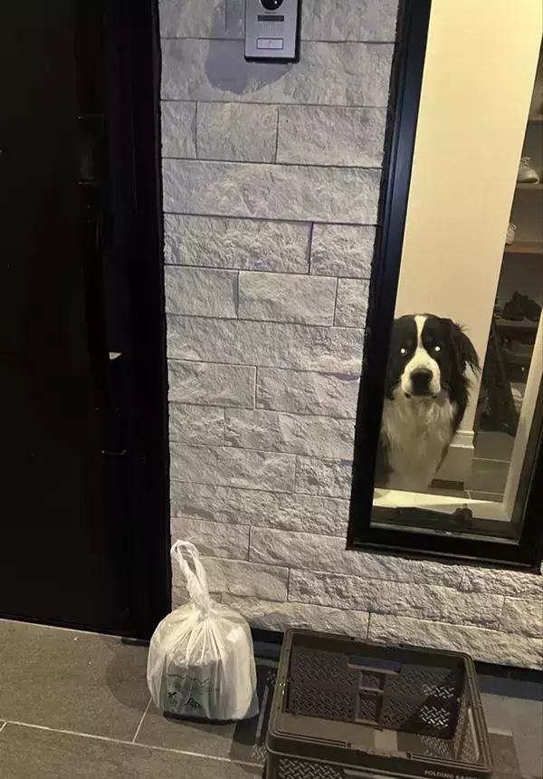 配達員「置き配を完了しました」　写真を見て吹き出した理由に「そりゃ笑うわ」「思わず二度見したのかな」