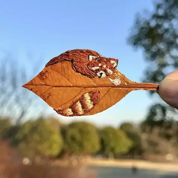 女性が手に取った1枚の葉っぱ　現れたのは？「思わず凝視した」「疲れた心にしみる…」