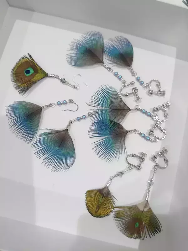 【なぜ】京都大学に出没する『クジャク』　世話する学生に話を聞くと？