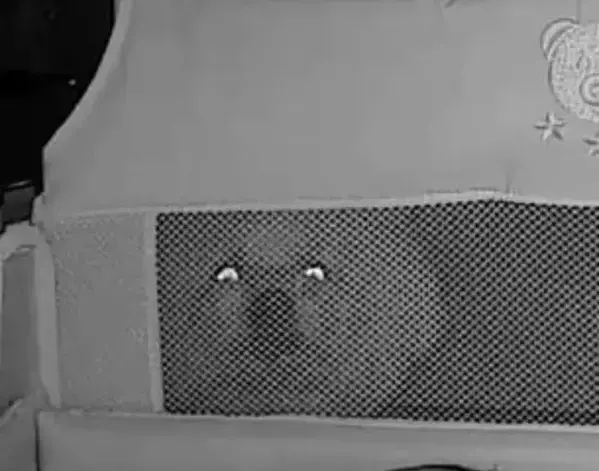 赤ちゃんが寝ているだけかと思いきや？　左上の存在に「めちゃくちゃ見守ってる」