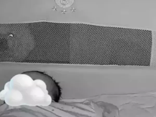 赤ちゃんが寝ているだけかと思いきや？　左上の存在に「めちゃくちゃ見守ってる」