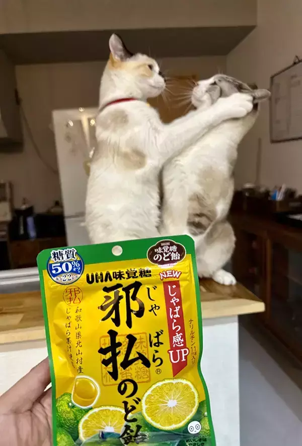 のど飴を購入した女性　写真が注目された理由に「後ろにしか目が行かない」「主張が強すぎる」