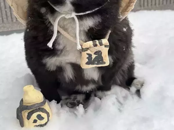 雪の中に置かれた『信楽焼たぬき』　よく見ると？「AI画像かと」「びっくり」