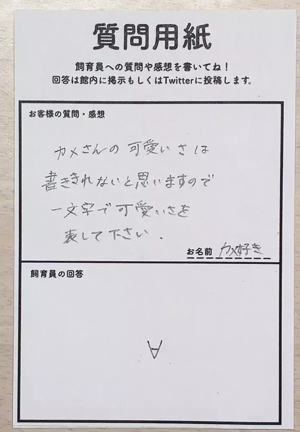 飼育員の回答に「神がかってる」「天才か」　カメのかわいさを『一文字』で書くと？