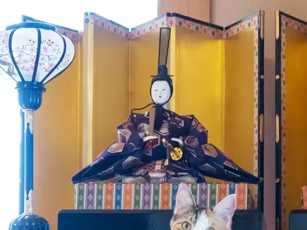 家で雛人形を飾っていたら？　目に飛び込んできた光景に「違和感なさすぎ」「もうこれでいいよ」