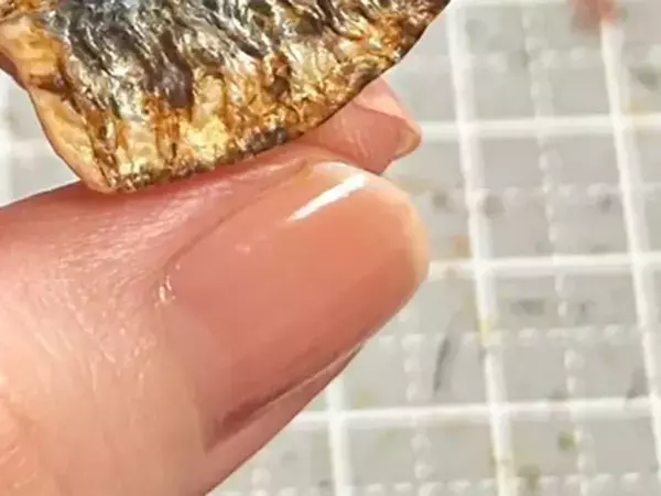 指先にのっていたのは『つけ爪』ではなく…　「無意識に匂いかぐかも」「猫が寄ってきそう」