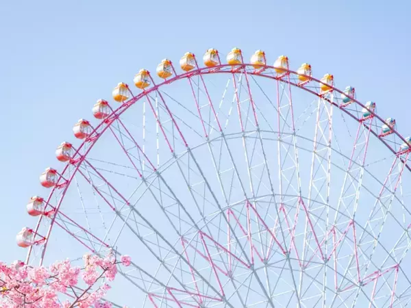 公園にある桜色の観覧車　その下を見ると？「今すぐ見に行きたい」「思わず声が出た」