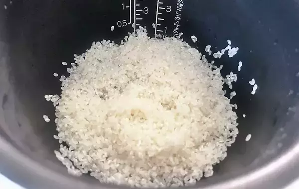 炊飯器にドボン！米と一緒に入れたのは…　「これだけで味が決まる」「シンプルなのにうまい」