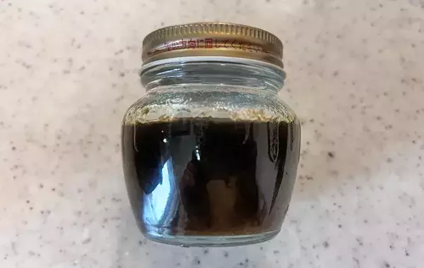 炊飯器にドボン！米と一緒に入れたのは…　「これだけで味が決まる」「シンプルなのにうまい」