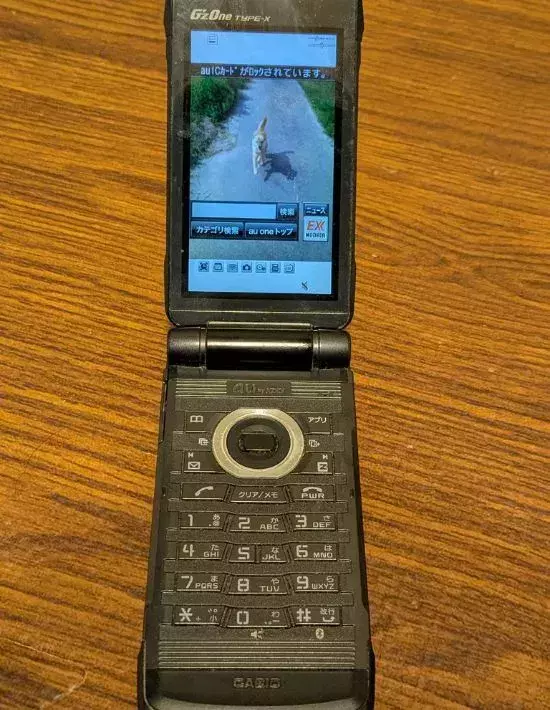 起動したガラケーの液晶画面　8万人が涙したワケに「あの頃に戻れる」「エモい」