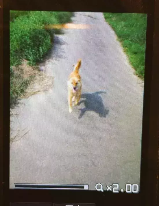 起動したガラケーの液晶画面　8万人が涙したワケに「あの頃に戻れる」「エモい」