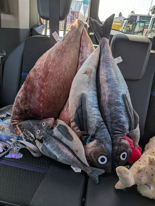 道行く人が「でっか！」　ベビーカーに乗っていたのは赤ちゃんと…「笑い止まらん」「大物ゲットだね」