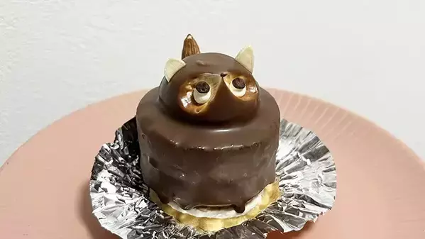 「店で『たぬきケーキ』を買ったら…」　箱を見て笑った理由に「これはニヤける」「名古屋行ってくるわ」