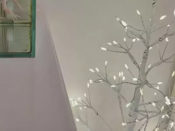 「消すと不機嫌になるんです」　クリスマスツリーのライトをじっと見つめていたのは？