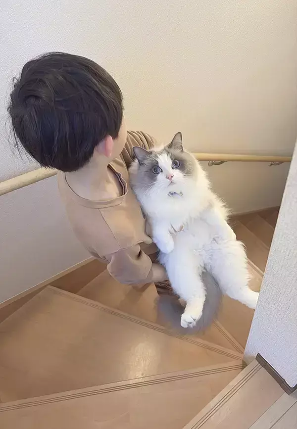 階段で猫を運んでいた息子が、3年後？　ビフォーアフターに「この表情よ」「目で訴えてるぞ」