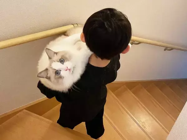 階段で猫を運んでいた息子が、3年後？　ビフォーアフターに「この表情よ」「目で訴えてるぞ」