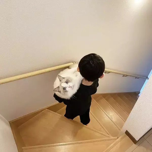 階段で猫を運んでいた息子が、3年後？　ビフォーアフターに「この表情よ」「目で訴えてるぞ」