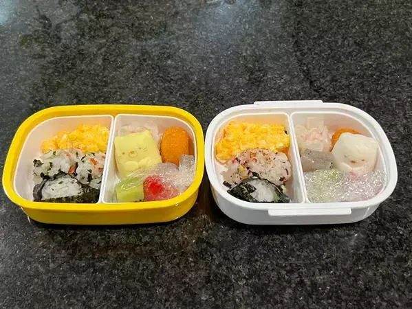 夫が人生初の『お弁当作り』　前日に冷蔵庫を開けると？「見事なスタメン」「コレは推せる」