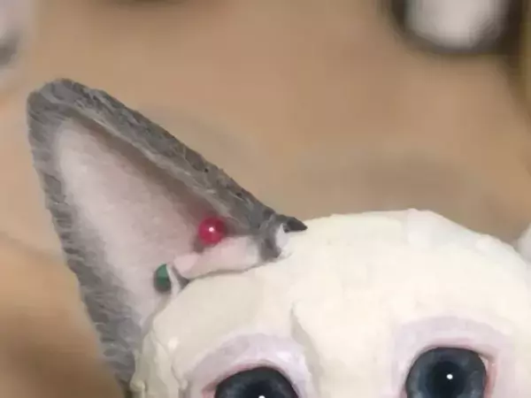 「完全に本物だと思った」「脳がバグる」　とんでもなくリアルな完成形に、驚き…！