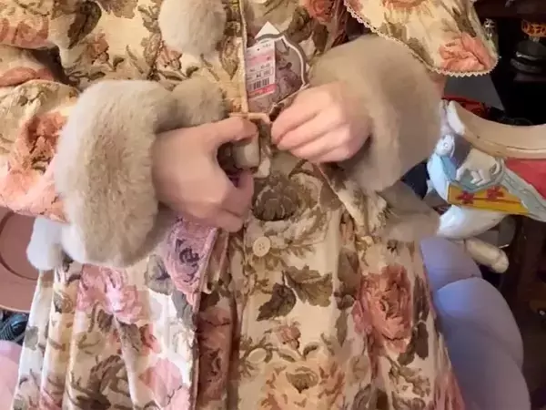 しまむらで購入した服　着たら『貴族みたい』になって…「え、すご！？」「なんてゴージャス」