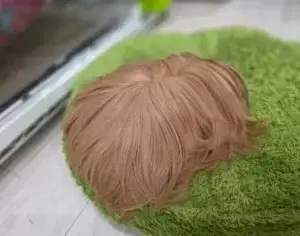 ラグの上の『サラサラヘア』　その正体は…　「どこまで伸びるか気になる」