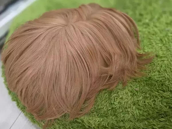 ラグの上の『サラサラヘア』　その正体は…　「どこまで伸びるか気になる」