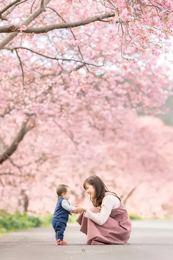 桜に包まれる幸せそうな親子が、6年後？　父親が撮影した姿に「赤の他人なのに号泣」「涙腺が崩壊した」