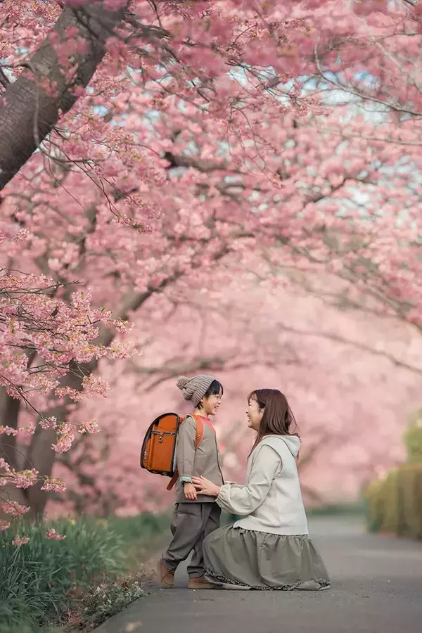 桜に包まれる幸せそうな親子が、6年後？　父親が撮影した姿に「赤の他人なのに号泣」「涙腺が崩壊した」