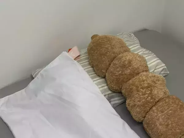 ベッドを占拠していたのは？　遠征先での珍事件に「めっちゃ笑った」「邪魔すぎるだろ」