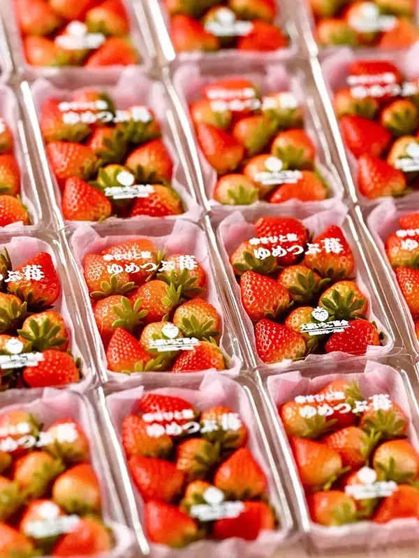 「脳がバグる」「本物にしか見えない」　みずみずしいイチゴの写真、実は？