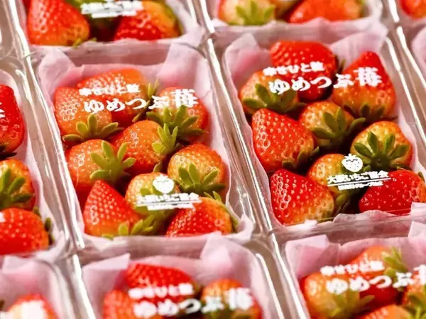 「脳がバグる」「本物にしか見えない」　みずみずしいイチゴの写真、実は？