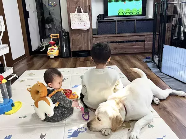 ゲーム中の息子に構ってほしい大型犬　隣の赤ちゃんを見て？「最高か」「感情が顔に出てる」
