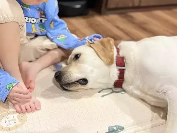 ゲーム中の息子に構ってほしい大型犬　隣の赤ちゃんを見て？「最高か」「感情が顔に出てる」