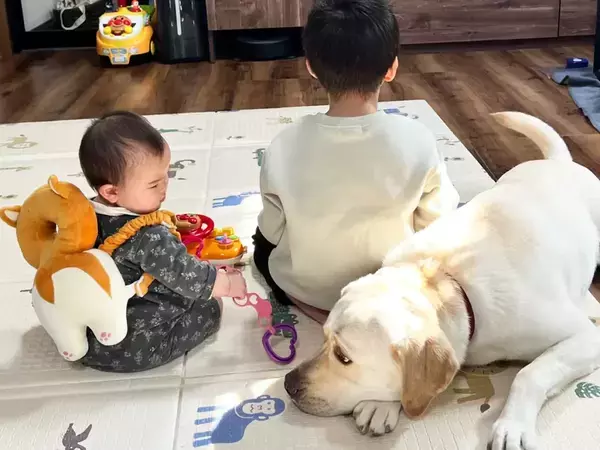 ゲーム中の息子に構ってほしい大型犬　隣の赤ちゃんを見て？「最高か」「感情が顔に出てる」