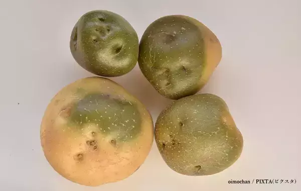 ポトフを食べたら、一家3人が食中毒　その原因に「本当に怖い」「これから一人暮らしの子も気をつけて」