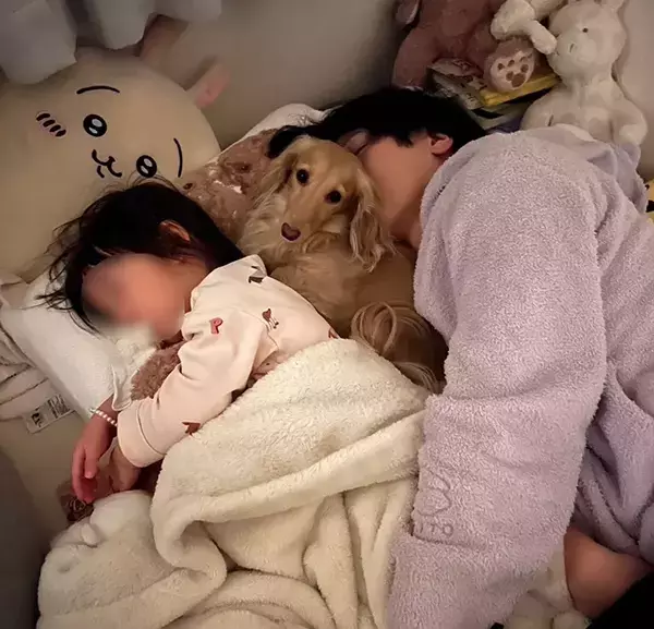 並んで寝ている父親と娘　それを見た愛犬が…とった行動に「かわいすぎる」「お顔が訴えてるね」